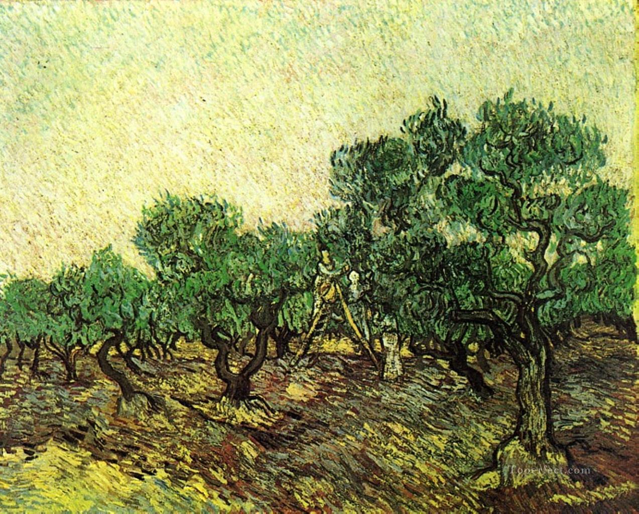 Recogida de aceitunas 2 Vincent van Gogh Pintura al óleo